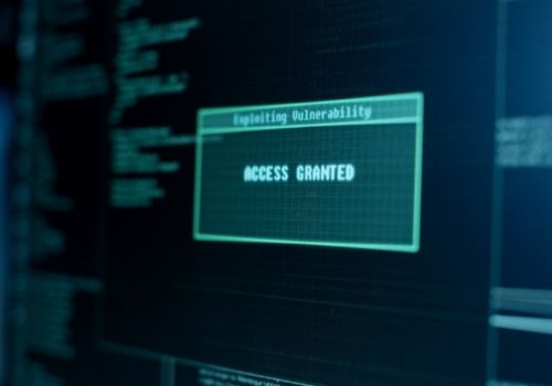 access granted on a computer screen